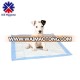 Training puppy dog disposable pet pads