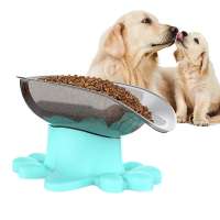 Manufacturer OEM Spill Proof Pet Bowl Slanted Bulldog Food Bowl With FDA Certificate