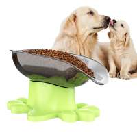 Manufacturer Wholesale Spill Proof Pet Bowl Slanted Bulldog Food Bowl With FDA Certificate